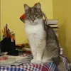 Отзыв от Василиса Еремеева